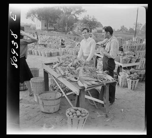 Windsor Locks (vicinity), Connecticut. Harvest market