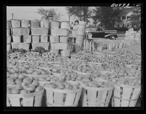 Untitled photo, possibly related to: Windsor Locks, Connecticut. Harvest market