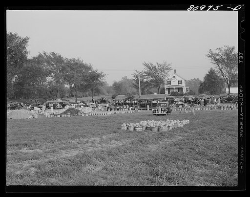 Untitled photo, possibly related to: Harvest market near Windsor Locks, Connecticut