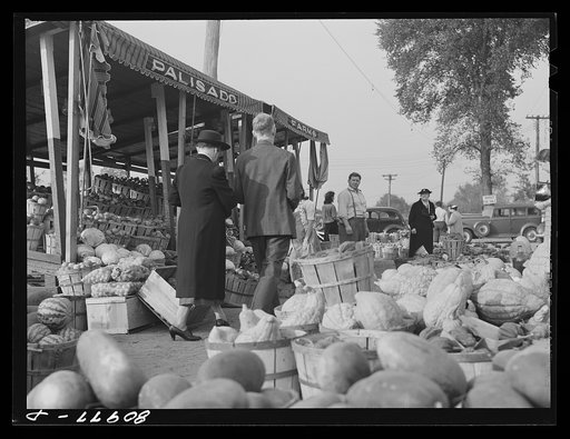 Untitled photo, possibly related to: Harvest market near Windsor Locks, Connecticut
