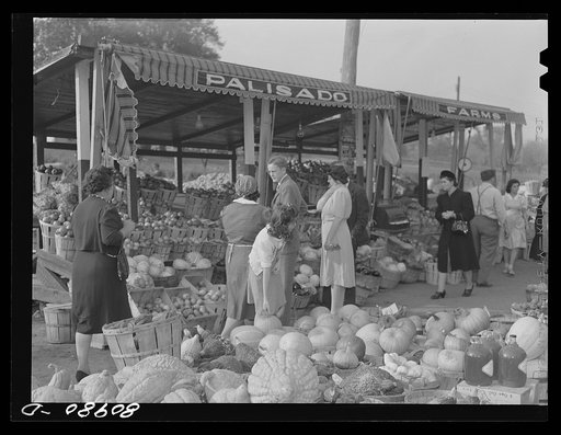 Untitled photo, possibly related to: Harvest market near Windsor Locks, Connecticut