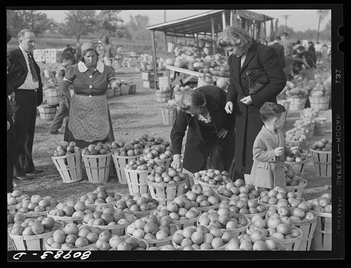 Harvest market near Windsor Locks, Connecticut