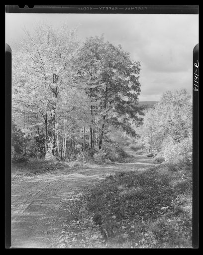 Massachusetts. A road through the Savoy Mountain area of the Bershire Mountains