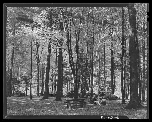 State-owned and run picnic ground and camp site. Mowhawk Trail, Massachusetts