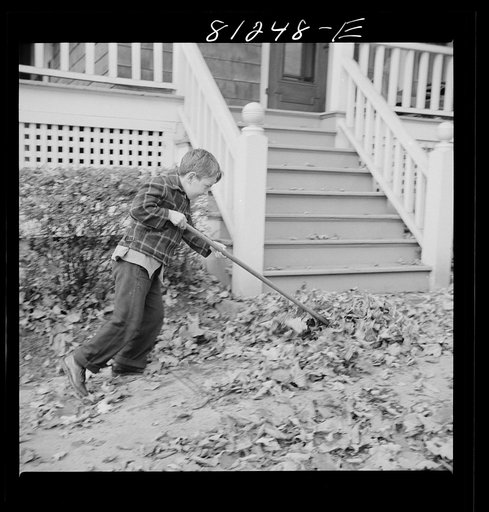 Fall activity. Little Falls, New York