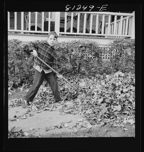 Untitled photo, possibly related to: Little Falls, New York. Child raking autumn leaves in a small town