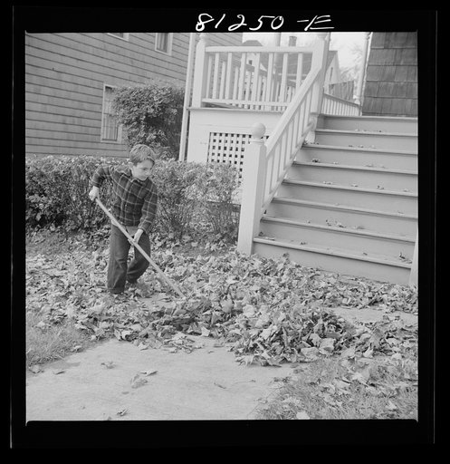 Fall activity. Little Falls, New York