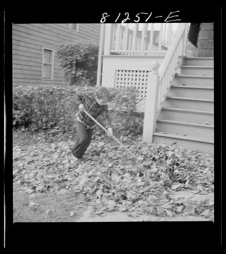 Untitled photo, possibly related to: Fall activity. Little Falls, New York