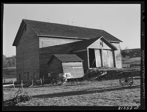 Little Falls (vicinity), New York. Dairy barn on the Daxater dairy farm