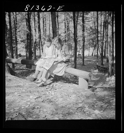 Folks from the cities came up on Sunday to view the fall foliage and read the Sunday paper. Mohawk Trail Picnic Park, Massachusetts