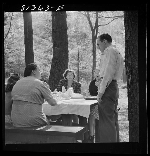 Picnic party along the Mohawk Trail, Massachusetts