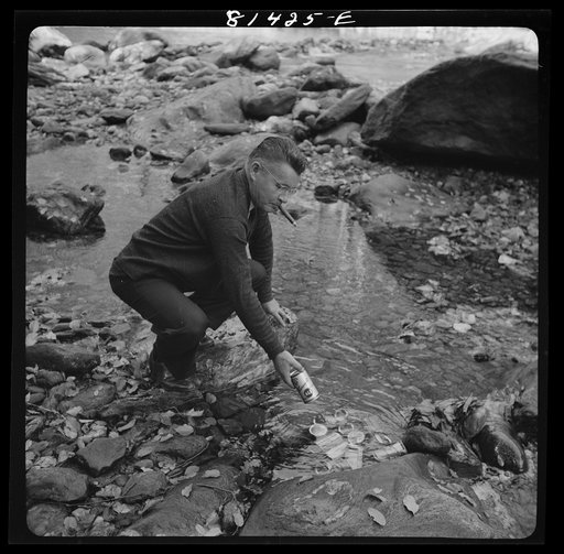 Cooling beer in stream at state-owned picnic and camping site along the Mohawk Trail, Massachusetts