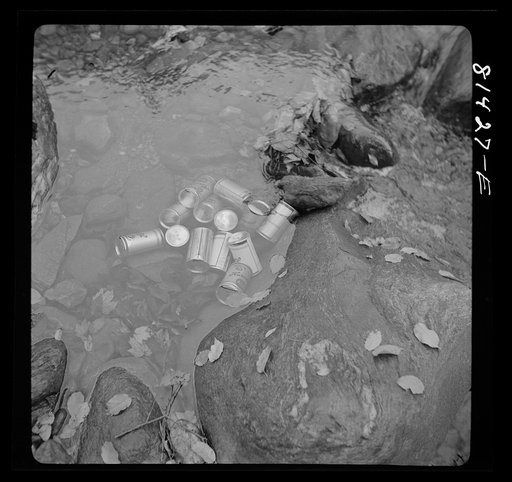 Cooling beer in stream at state-owned picnic and camping site along the Mohawk Trail, Massachusetts