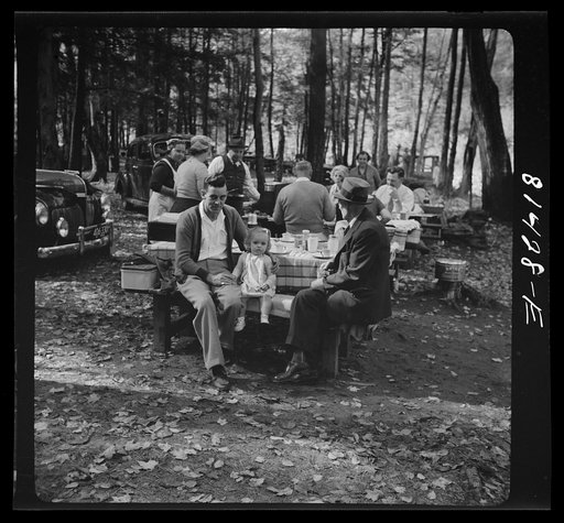 Untitled photo, possibly related to: The young and the old joined the pilgrimage into the fall spendor of the Berkshires. Mohawk Trail, Massachusetts. State-owned camp and picnic site