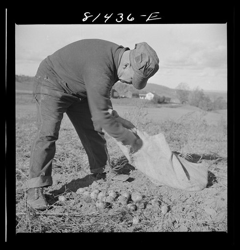 The Daxtater dairy farm near Little Falls, New York