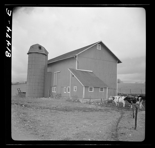 Untitled photo, possibly related to: Finger Lake country, New York