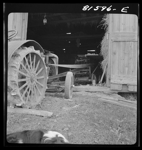 Tractor used as power to shuck corn on Mambert farm near Coxsackie, New York