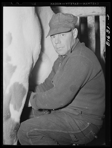 Little Falls (vicinity), New York. Eli Daxater rents his dairy farm but keeps his own cows and equipment