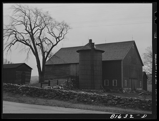 Amsterdam (vicinity), New York. A barn