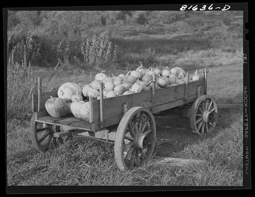 Melons for sale from farm wagon. Mohawk Trail, Massachusetts