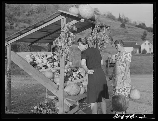 Farmers along the Mohawk Trail depend on the tourist for much of their profit. Massachusetts