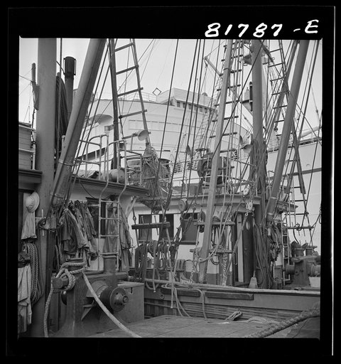 Army transport loading at Fisherman's Wharf. San Francisco, California