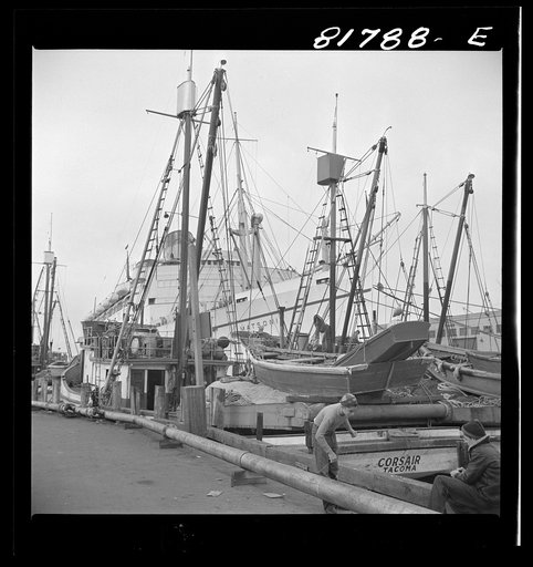 Army transport loading at Fisherman's Wharf. San Francisco, California