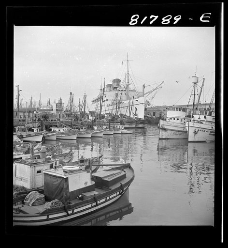 Army transport loading at Fisherman's Wharf. San Francisco, California