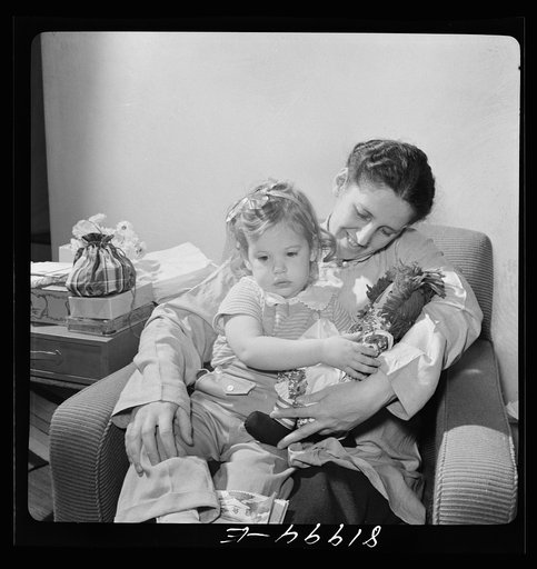 Christmas in the home of a government executive in Virginia