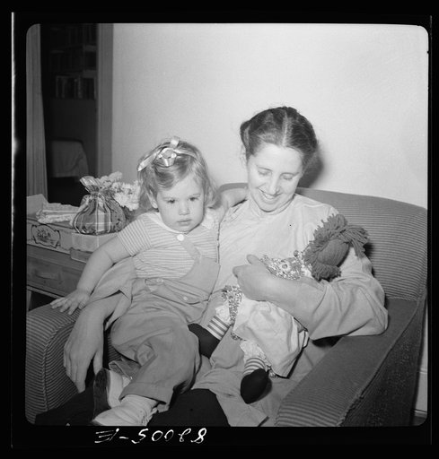 Untitled photo, possibly related to: Christmas in the home of a government executive in Virginia