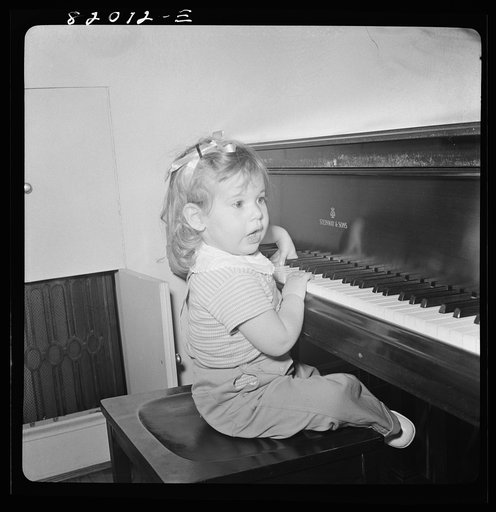 Untitled photo, possibly related to: Christmas in the home of a government executive, Virginia