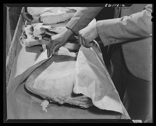 Wrapping meat in proper paper before placing in muslin bag before hanging in smokehouse for storage. Calvert County, Maryland