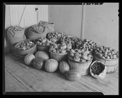 Easily stored food needs no curing or canning. Calvert County, Maryland