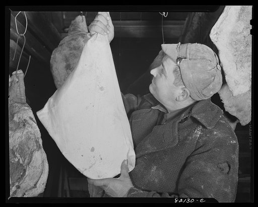 FSA (Farm Security Administration) client hanging meat after properly wrapping for sanitary food storage. Calvert County, Maryland