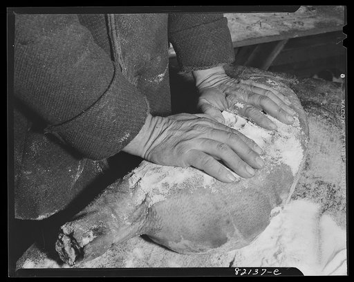 Salting down pork at Calvert County, Maryland