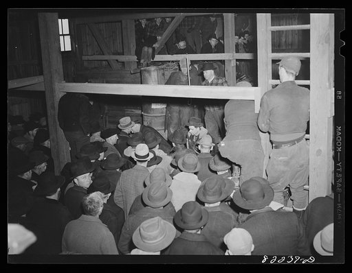 Untitled photo, possibly related to: Lancaster County, Pennsylvania. Farm auction