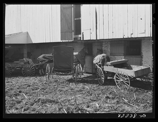 Lancaster County, Pennsylvania. Amish wagons