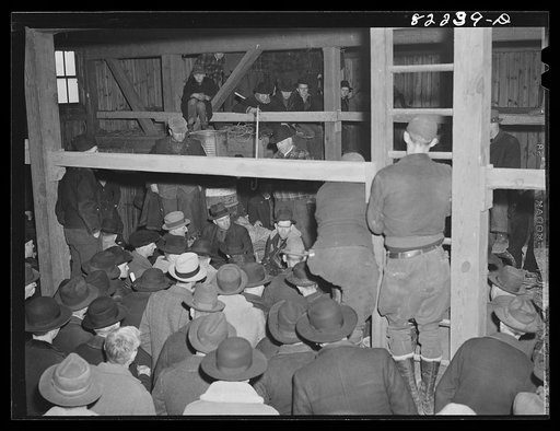 Untitled photo, possibly related to: Lancaster County, Pennsylvania. Farm auction