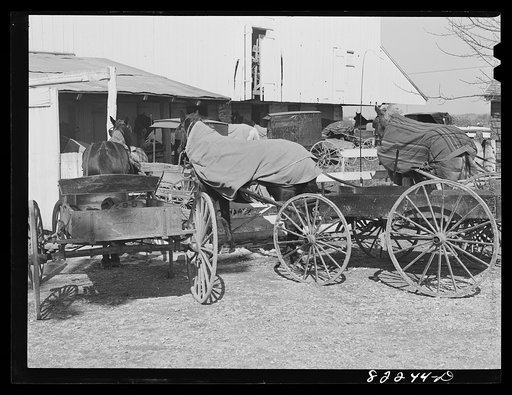 Untitled photo, possibly related to: Lancaster County, Pennsylvania. Mennonite buggy