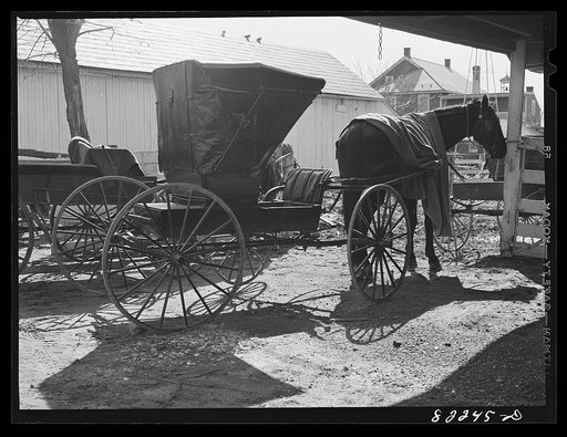 Untitled photo, possibly related to: Lancaster County, Pennsylvania. Mennonite buggy