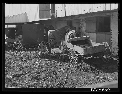 Untitled photo, possibly related to: Lancaster County, Pennsylvania. Amish wagons