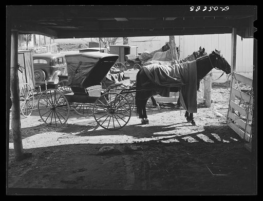Lancaster County, Pennsylvania. Mennonite buggy