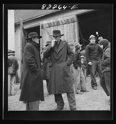 Lancaster County, Pennsylvania. Mennonite farmers at auction