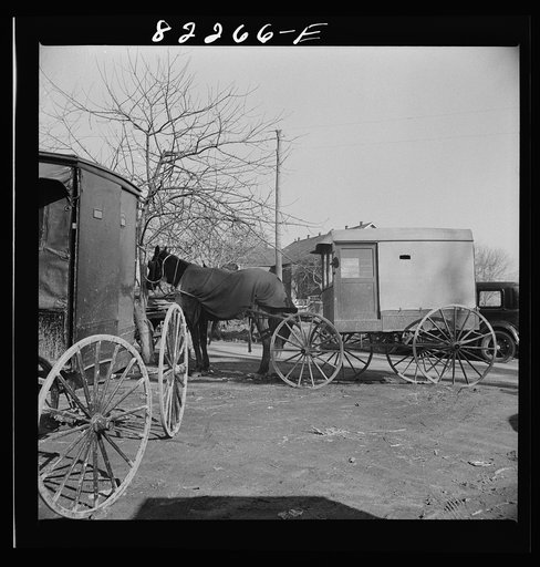 Lancaster County, Pennsylvania. Amish carriages