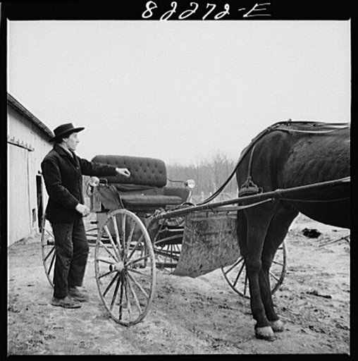 Lancaster County, Pennsylvania. Young Amish man who has not yet let his beard grow according to the custom of his church