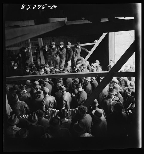 Untitled photo, possibly related to: Lancaster County, Pennsylvania. Farm auction