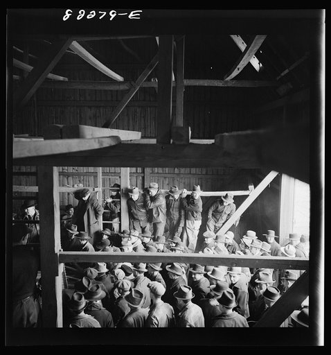 Lancaster County, Pennsylvania. Farm auction