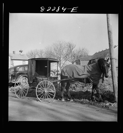 Lancaster County, Pennsylvania. Amish carriage