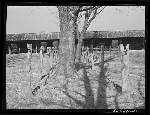 Hinkletown, Pennsylvania (vicinity). Hitching racks at Mennonite church