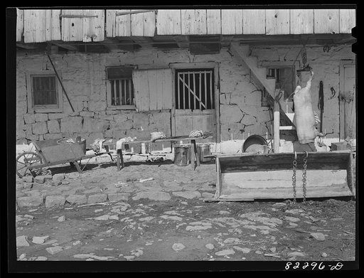 Ephrata, Pennsylvania (vicinity). Butchering pork on a Mennonite farm